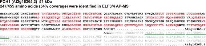 Figure 1—figure supplement 2.