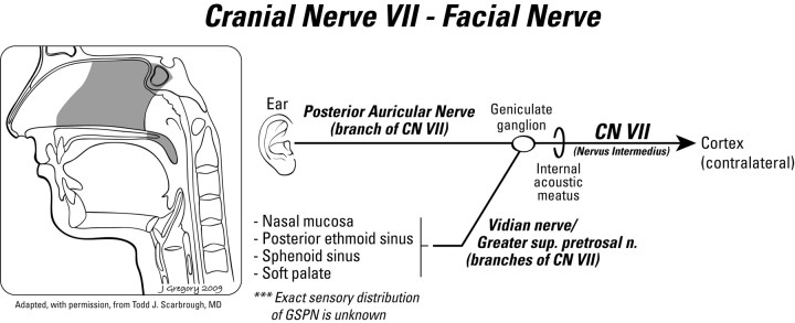 Fig 5.