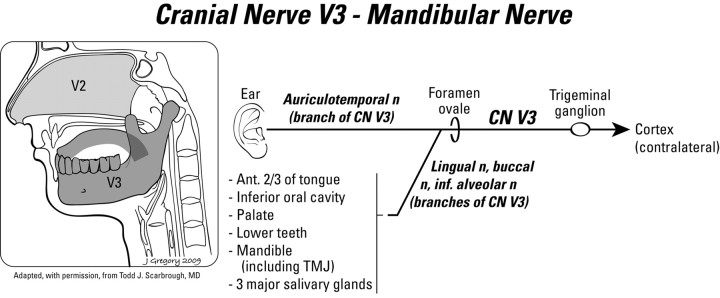 Fig 2.