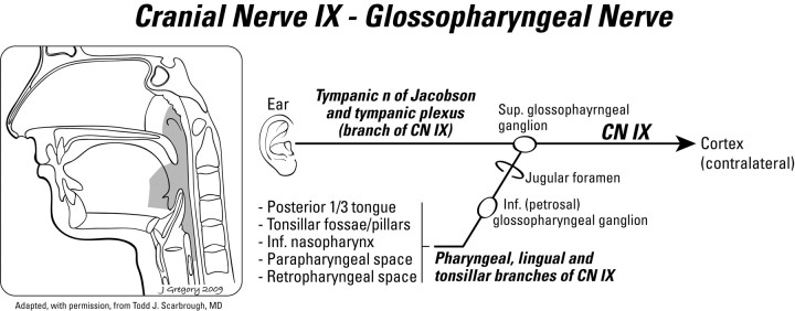 Fig 8.