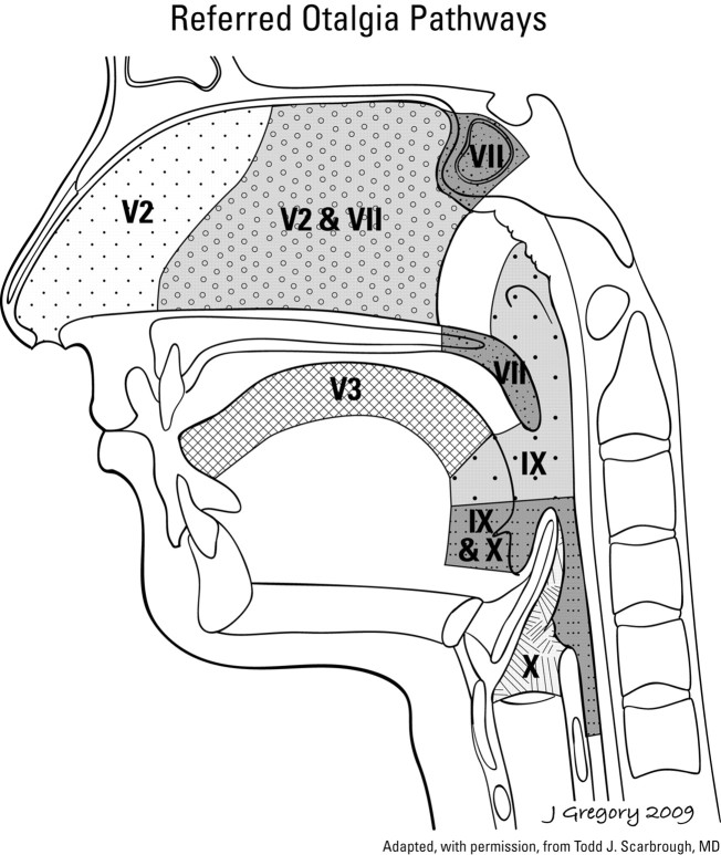 Fig 1.