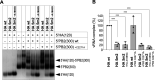 FIG 9