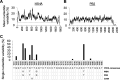 FIG 10