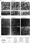 FIG 6