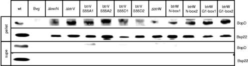 FIG. 6.