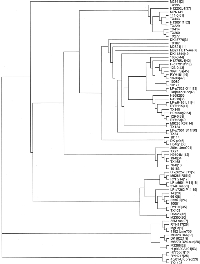 FIG. 1.