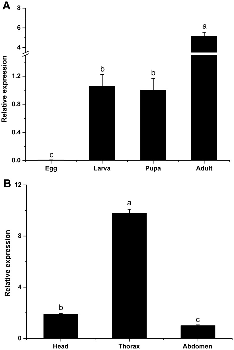 Figure 5