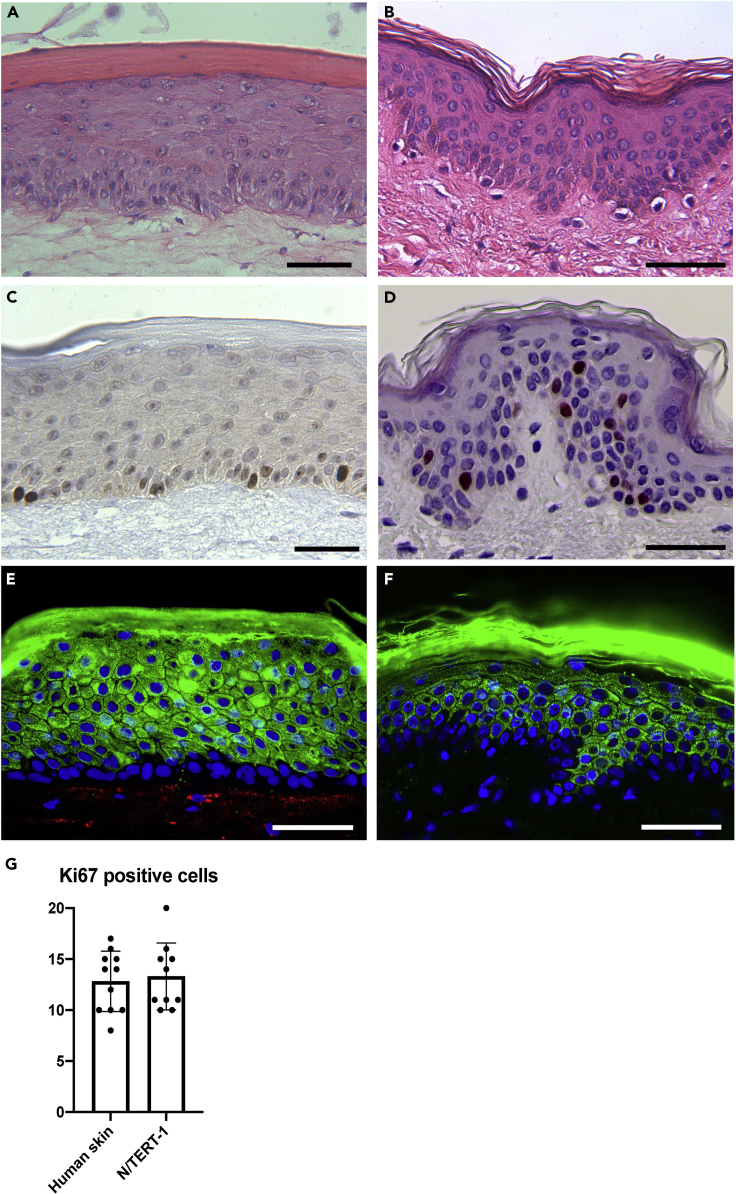 Figure 3