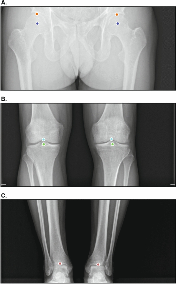 Fig. 2