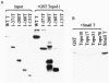 FIG. 7.