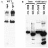 FIG. 8.