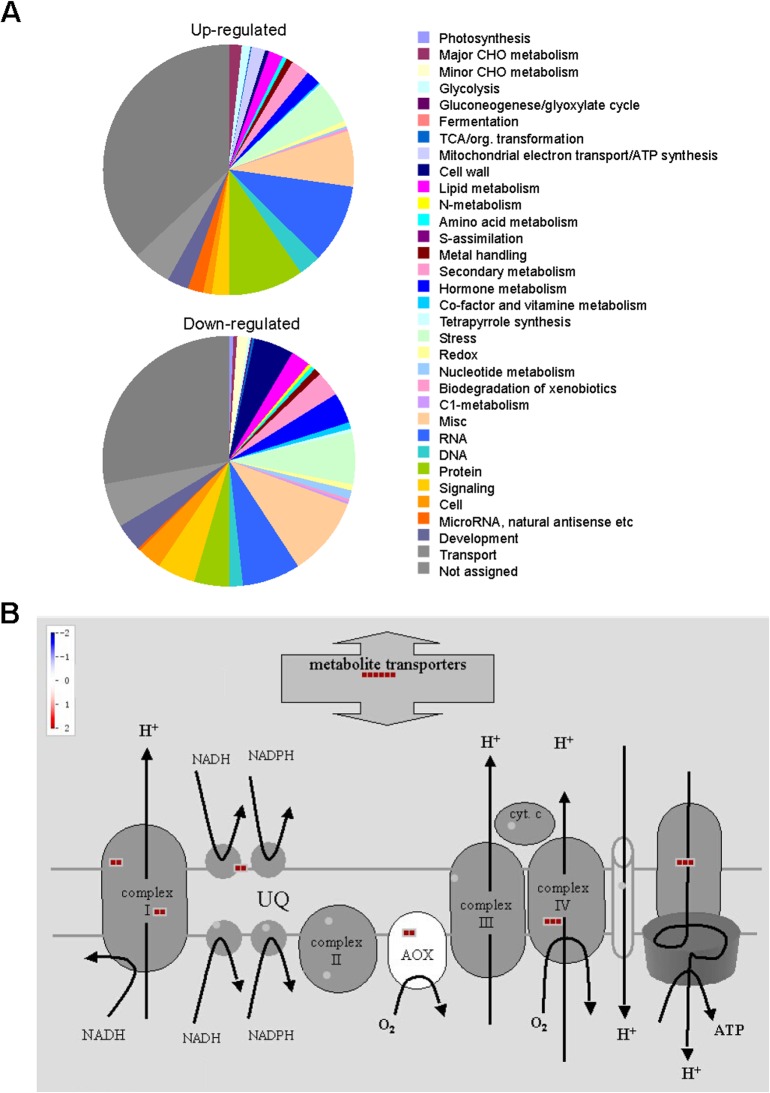 Fig 4