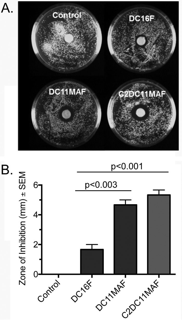 FIG 4