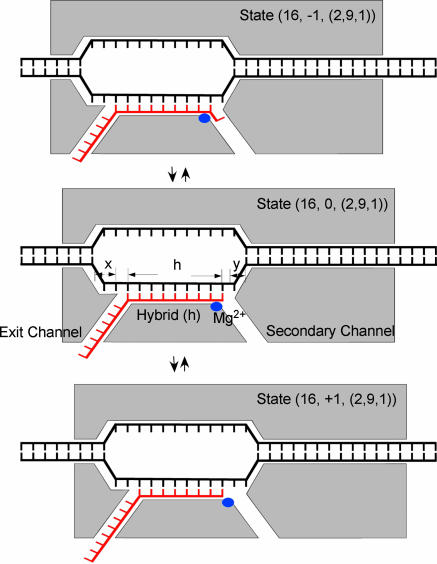 Fig. 1.