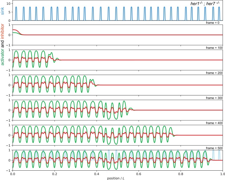 Figure 7—figure supplement 5.