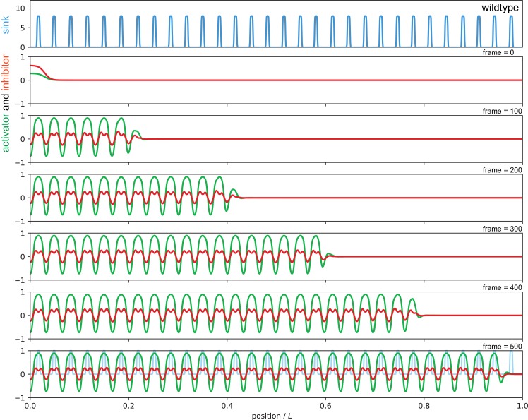 Figure 7—figure supplement 3.