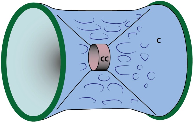 Figure 2—figure supplement 1.