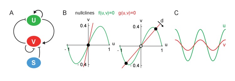 Figure 7—figure supplement 1.