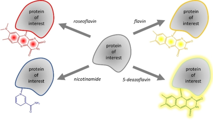 Scheme 2