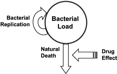 FIG. 2.