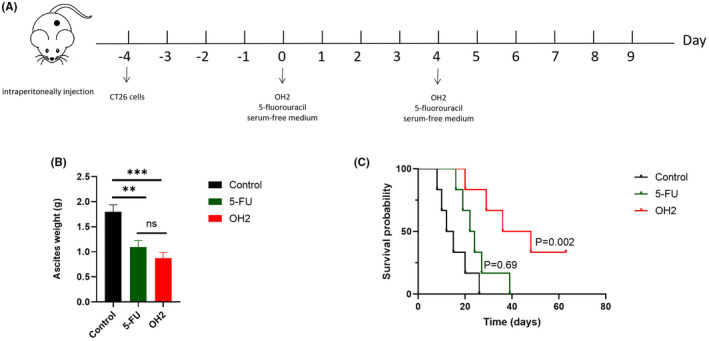 FIGURE 2