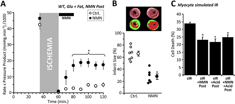 Figure 4: