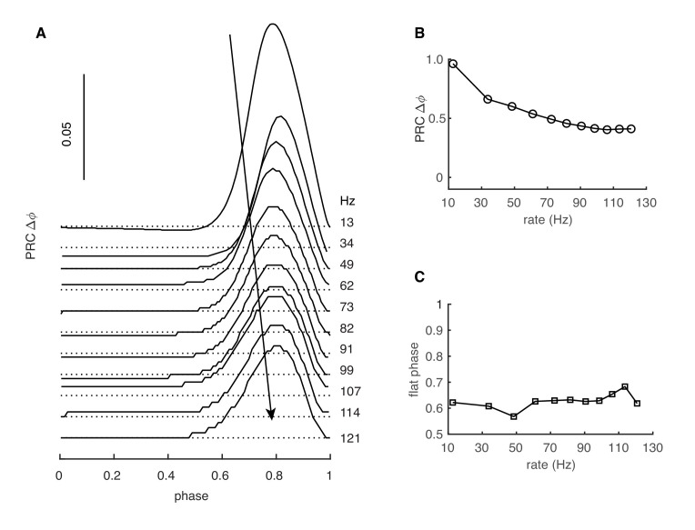 Figure 1—figure supplement 2 .