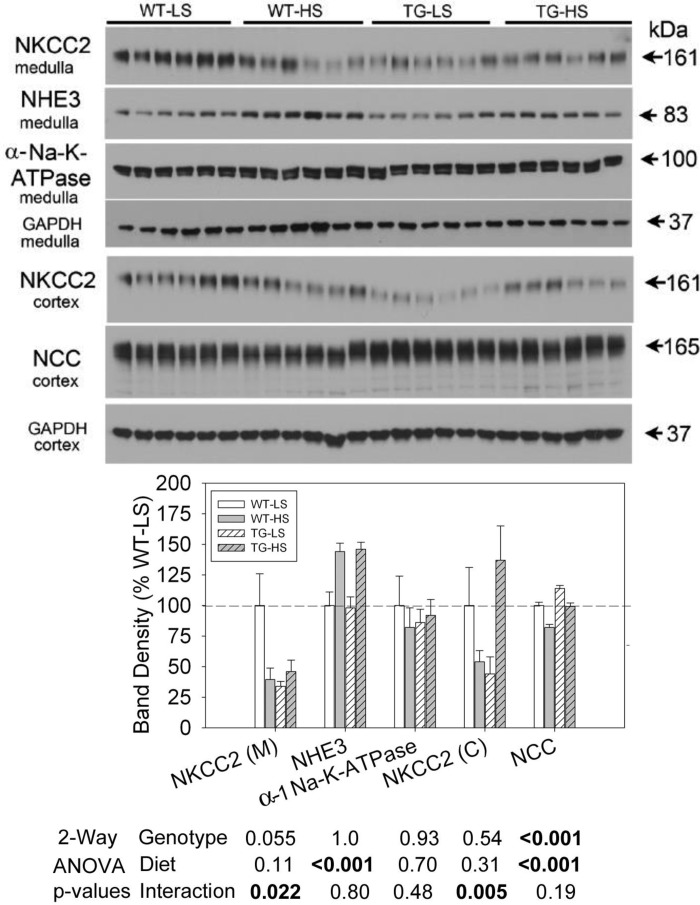 Fig. 9.