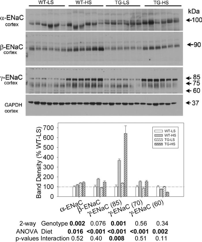 Fig. 10.