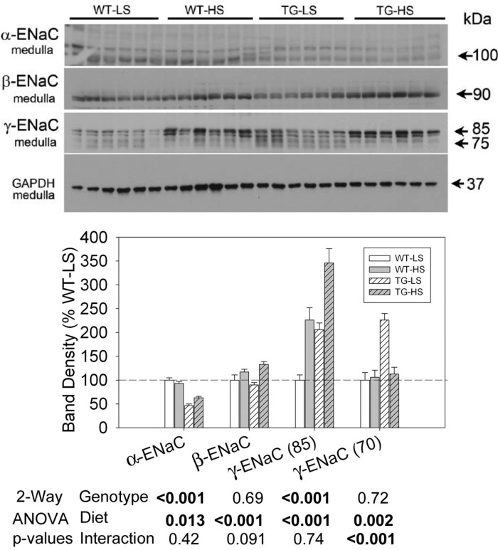 Fig. 11.