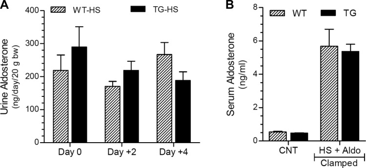 Fig. 7.