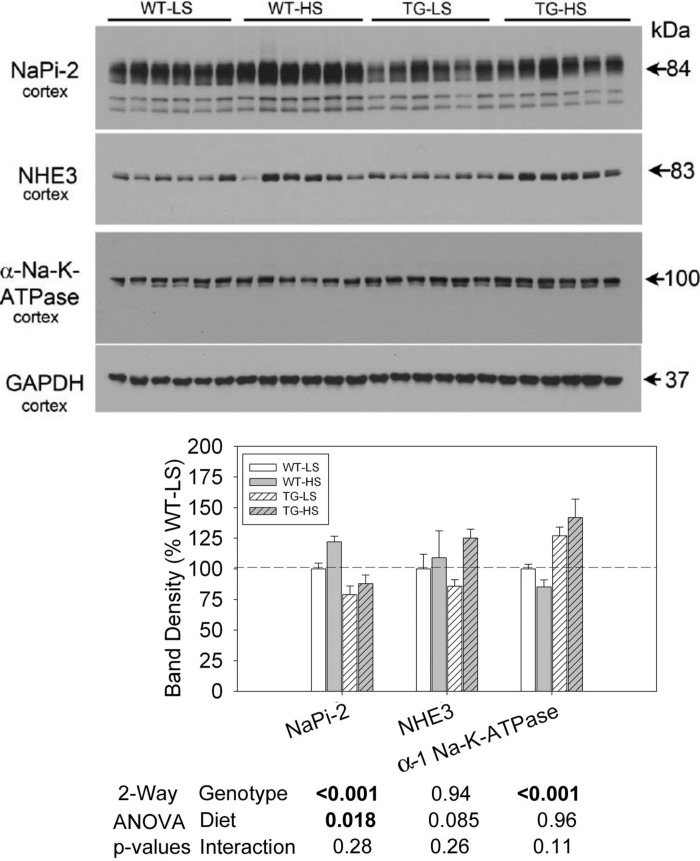 Fig. 8.