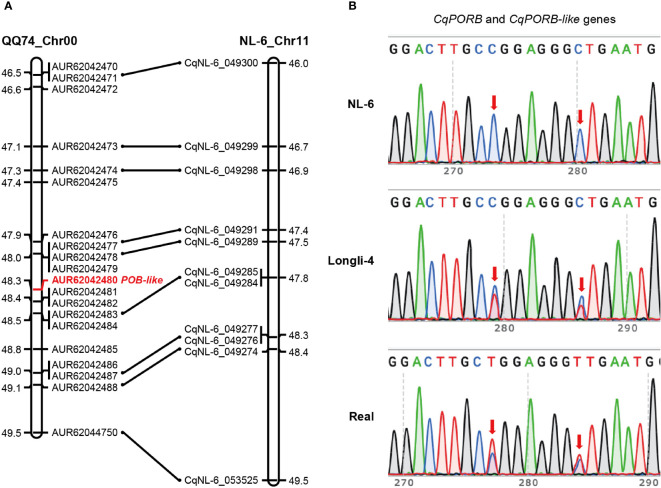 Figure 4