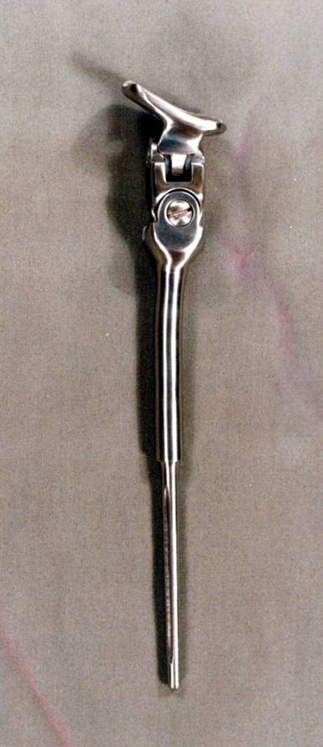 Fig. 1