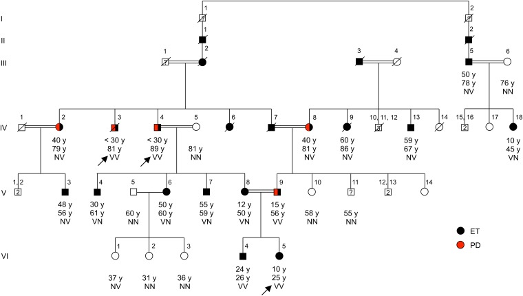 Fig. 1.