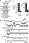 Fig. 3.