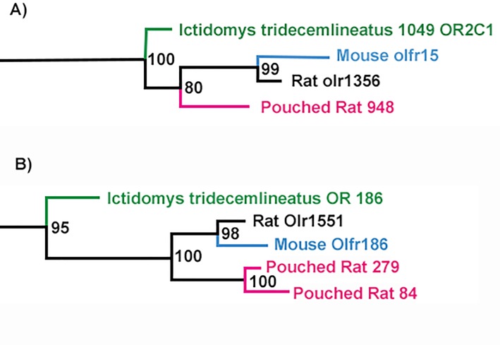 Fig 5