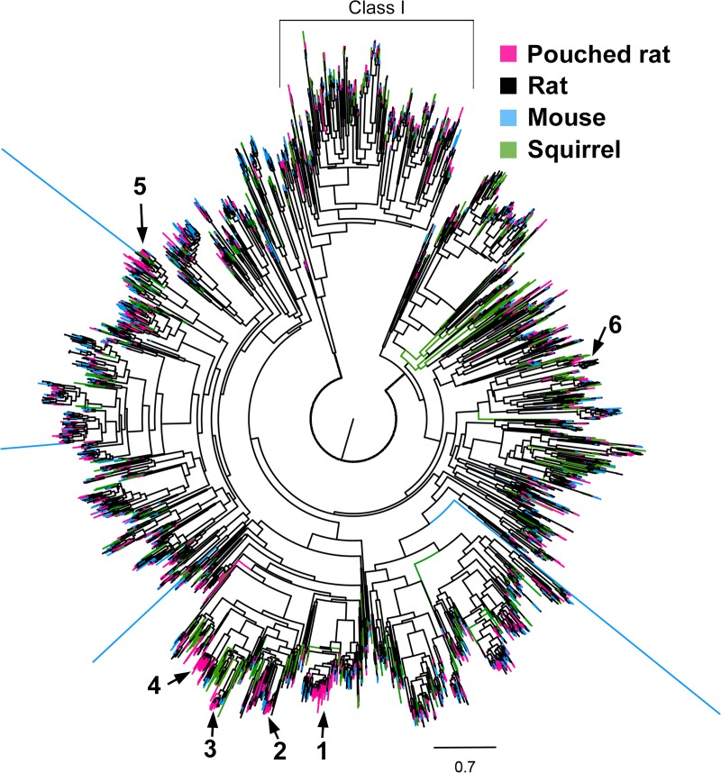 Fig 4