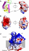 FIGURE 3.