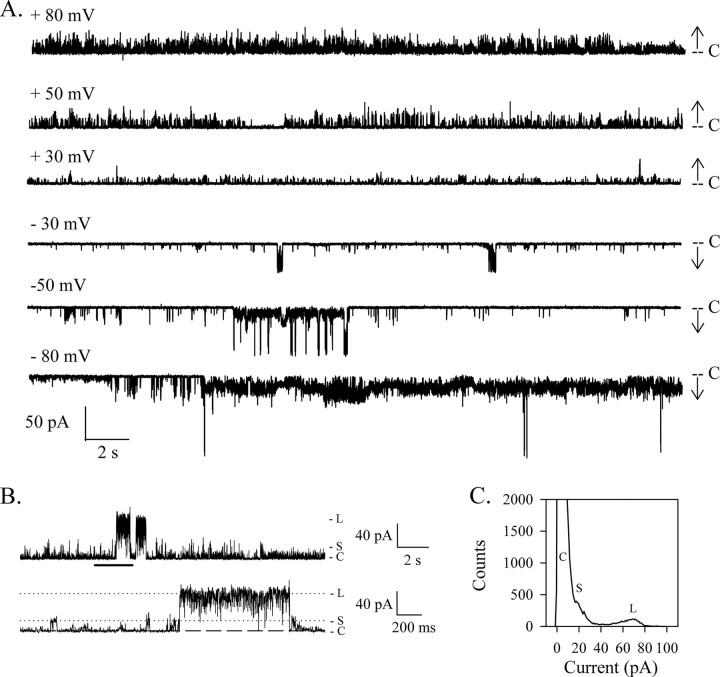 FIGURE 1.