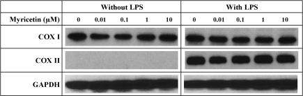 Fig. 9.