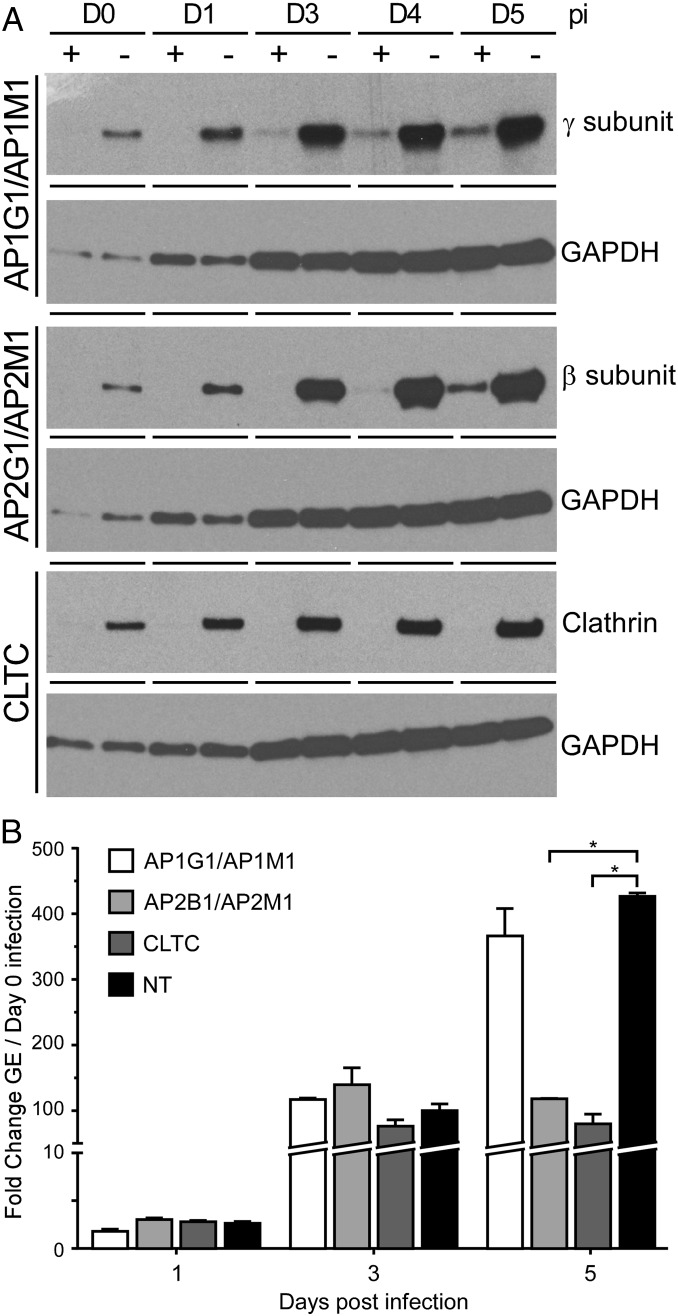 Fig. 6.