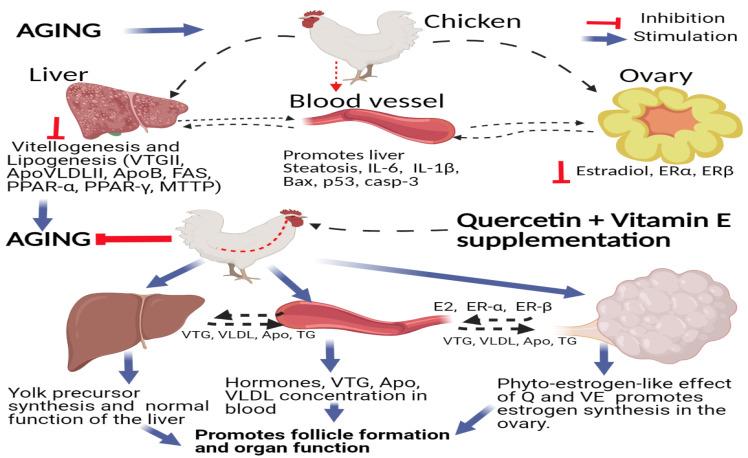 Figure 12