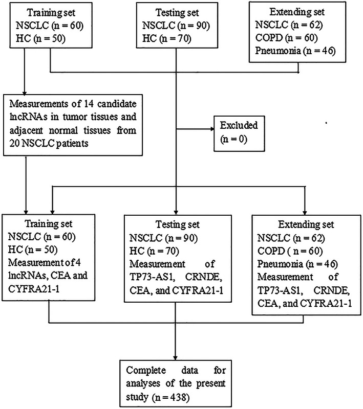 FIGURE 1