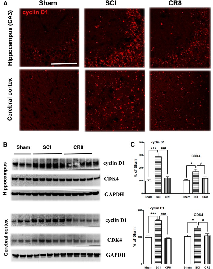 Figure 13.