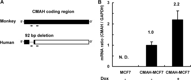 FIG 2