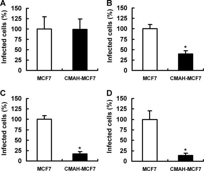 FIG 6