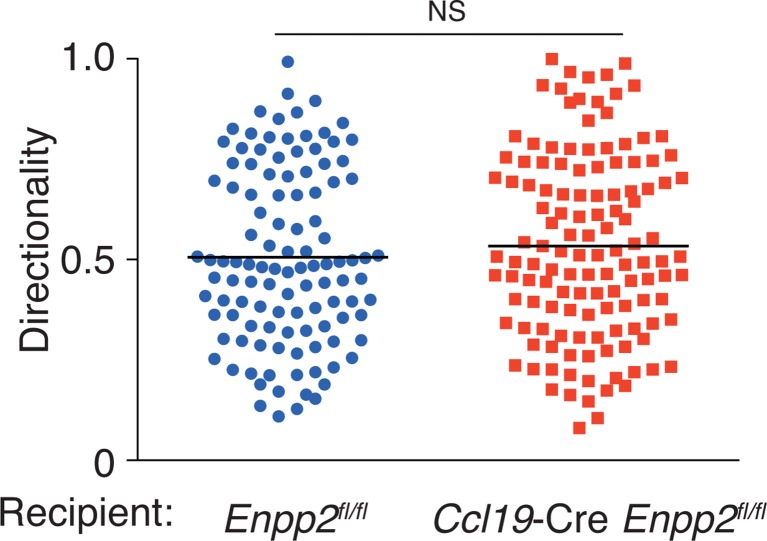 Figure 3—figure supplement 2.