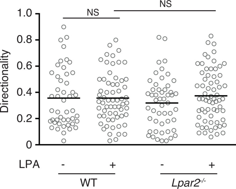 Figure 9—figure supplement 1.