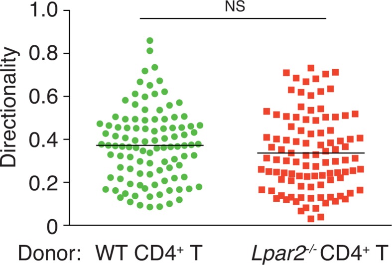 Figure 5—figure supplement 2.